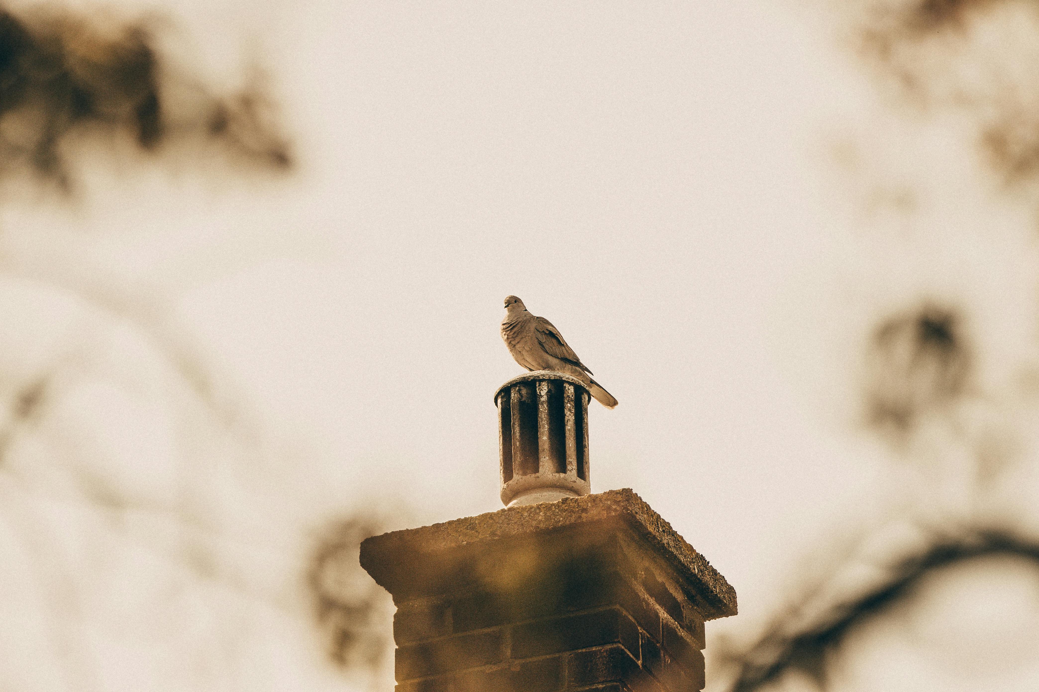 Professional Chimney Cap Installation Services in Barrington, IL Expert Chimney Cap Installation in Barrington, Illinois